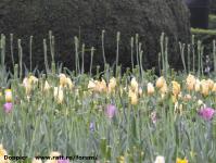 Imagine atasata: Reabilitare centru - 2016.04.30 - 05.jpg